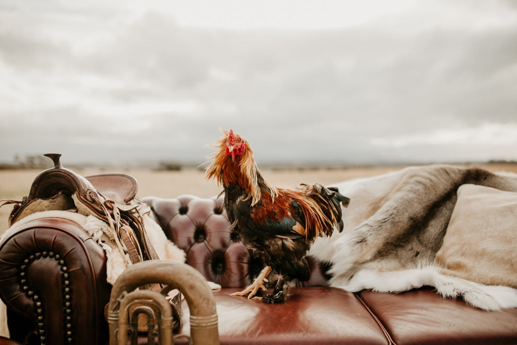 Why Lake Leather Doesn't Do Black Friday